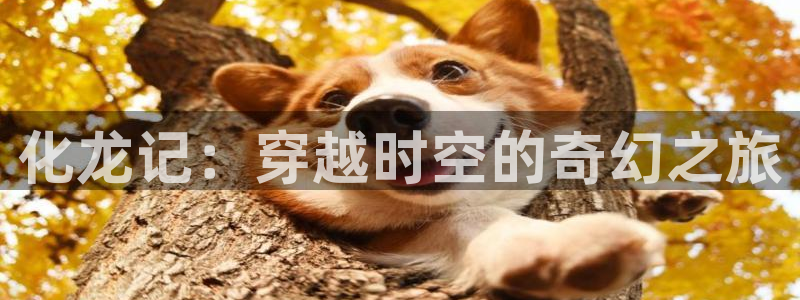 漫蛙漫画灰公子辛德瑞罗：化龙记：穿越时空的奇幻之旅